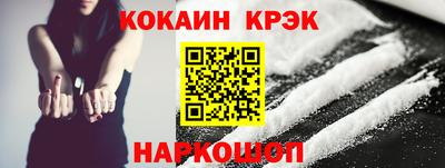 крисы Кингисепп