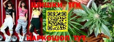 крисы Кингисепп