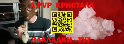 крисы Кингисепп