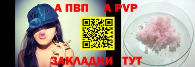 крисы Кингисепп
