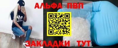 крисы Кингисепп