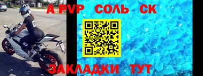 крисы Кингисепп