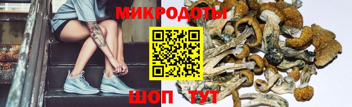 Галлюциногенные грибы GOLDEN TEACHER  Псилоцибиновые грибы MAGIC MUSHROOMS  Менделеевск  даркнет сайт  Вход с VPN 